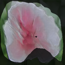 layer0-1231