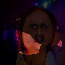 layer0-1231