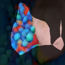 layer0-412