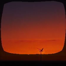 layer0-586