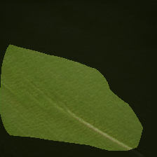 layer0-1432