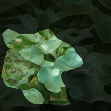 layer0-1555