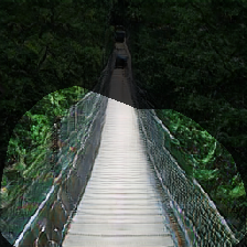 layer0-2020