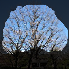 layer2-161