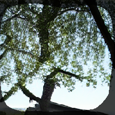 layer0-1703