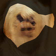 layer0-227