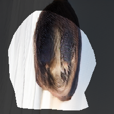 layer0-227