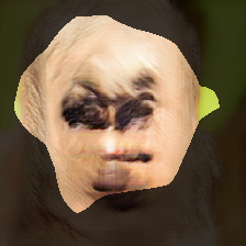 layer0-227