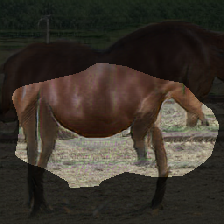 layer0-442