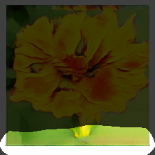 layer0-229