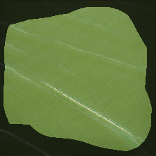 layer0-476