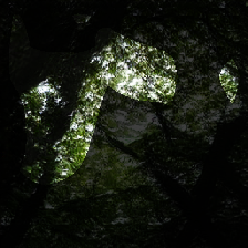 layer0-475