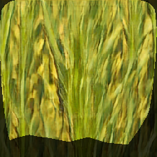 layer0-2037