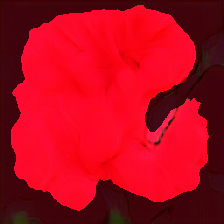 layer3-437