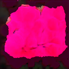 layer3-266