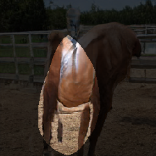 layer0-281