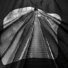 layer0-556