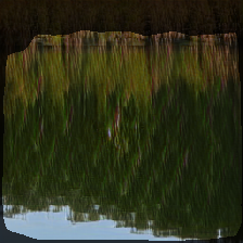 layer1-184