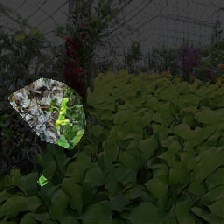 layer0-309