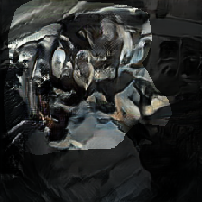 layer0-224
