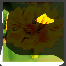 layer0-714