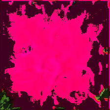 layer5-14