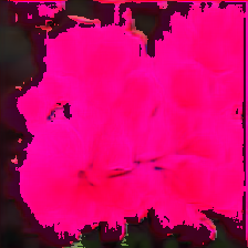 layer5-14