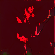 layer5-14