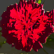 layer5-14
