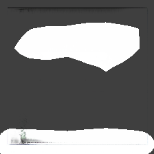 layer0-310