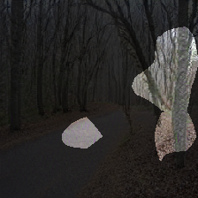 layer0-1559