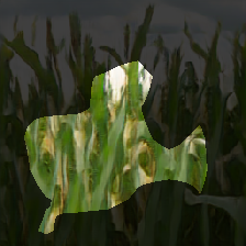 layer0-980