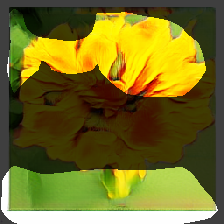 layer0-751