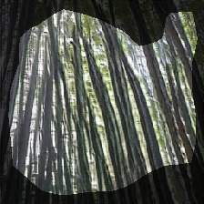 layer0-5