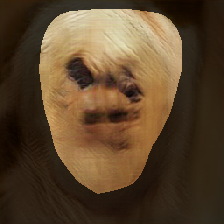 layer0-1006