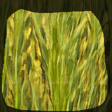 layer0-1648