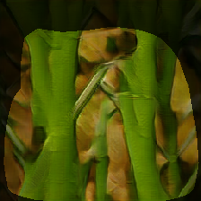 layer0-1648