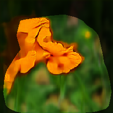 layer0-1648