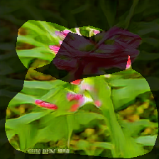 layer0-1648