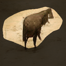 layer0-254