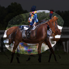 layer0-254