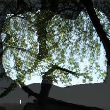 layer0-1601