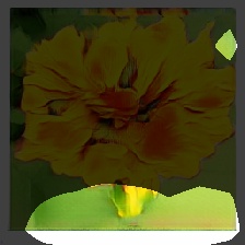 layer0-539