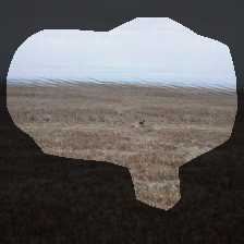 layer0-533