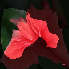 layer0-1129