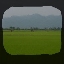layer0-351