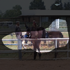 layer0-1637