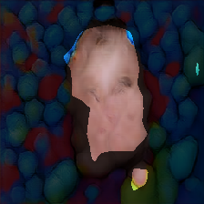 layer1-227