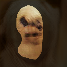 layer1-227