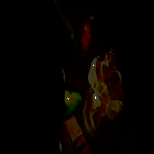 layer5-18